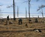 Foto: Dog sledding trip to Mongolia