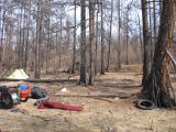Foto: Dog sledding trip to Mongolia