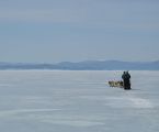 Foto: Dog sledding trip to Mongolia