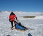 Foto: Dog sledding trip to Mongolia
