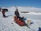 Foto: Dog sledding trip to Mongolia