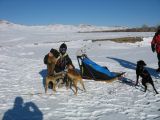 Foto: Dog sledding trip to Mongolia