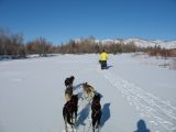 Foto: Dog sledding trip to Mongolia