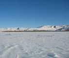 Foto: Dog sledding trip to Mongolia
