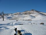 Foto: Dog sledding trip to Mongolia