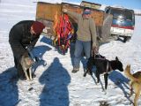 Foto: Dog sledding trip to Mongolia