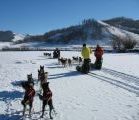 Foto: Dog sledding trip to Mongolia