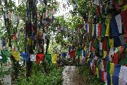 Foto: Artist Flēra Bīrmane's sacred destinations in Nepal