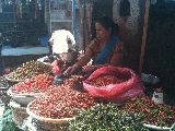 Foto: Artist Flēra Bīrmane's sacred destinations in Nepal
