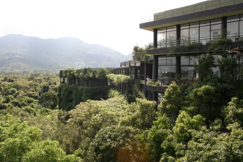 Hotel Kandalama, stretching