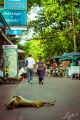 Foto: Complete Tranquility on Phu Quoc Island and Rock Climbing in Krabi