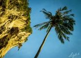Foto: Complete Tranquility on Phu Quoc Island and Rock Climbing in Krabi