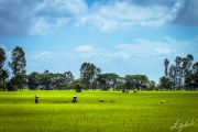 Foto: Complete Tranquility on Phu Quoc Island and Rock Climbing in Krabi