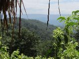 Foto: Vietnam. Bits of Authenticity and Economic Growth Craze