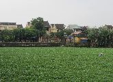 Foto: Vietnam. Bits of Authenticity and Economic Growth Craze