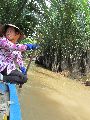 Foto: Vietnam. Bits of Authenticity and Economic Growth Craze