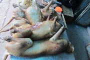 Foto: Vietnam. Bits of Authenticity and Economic Growth Craze