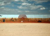 Foto: Opossum and the Painted Desert