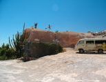 Foto: Opossum and the Painted Desert