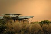 Foto: Opossum and the Painted Desert