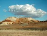 Foto: Opossum and the Painted Desert