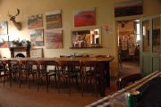 Foto: Opossum and the Painted Desert