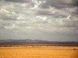Foto: Opossum and the Painted Desert