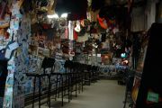 Foto: Opossum and the Painted Desert