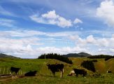 Foto: Where the Sky Merges With the Earth