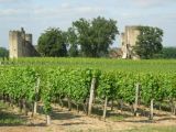 Foto: Wineries and Castles