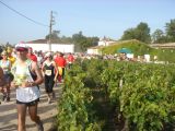 Foto: Wine Marathon