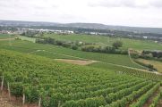 Foto: Along the Riesling route