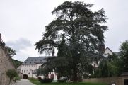 Foto: Along the Riesling route