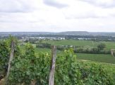 Foto: Along the Riesling route