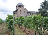 Foto: Along the Riesling route