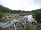 Foto: Tierra del Fuego. Gateway to the Icy Continent