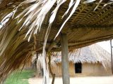 Foto: Aroma of Smoke, Moist Wood and Arid Grass