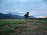 Foto: Aroma of Smoke, Moist Wood and Arid Grass