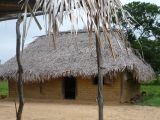 Foto: Aroma of Smoke, Moist Wood and Arid Grass