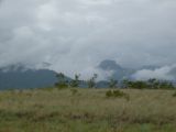 Foto: Aroma of Smoke, Moist Wood and Arid Grass