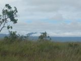Foto: Aroma of Smoke, Moist Wood and Arid Grass