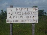 Foto: Aroma of Smoke, Moist Wood and Arid Grass