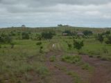 Foto: Aroma of Smoke, Moist Wood and Arid Grass