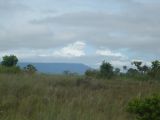 Foto: Aroma of Smoke, Moist Wood and Arid Grass