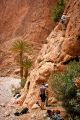 Foto: Todgha Gorge