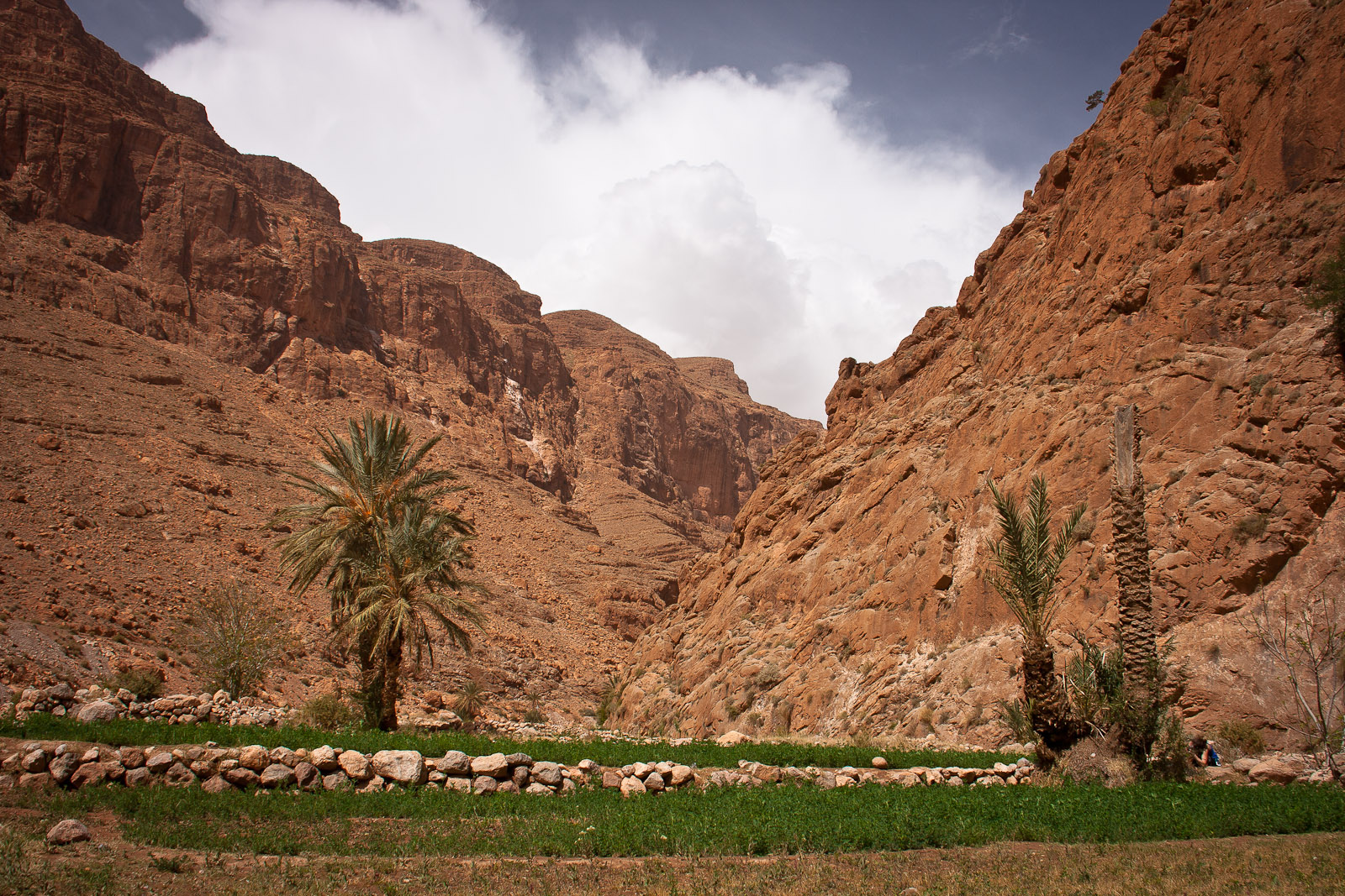 Todgha Gorge