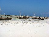 Foto: Zanzibar