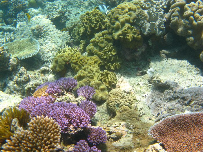 Great Barrier Reef