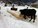 Foto: Svaneti