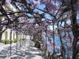 Foto: Lake Como